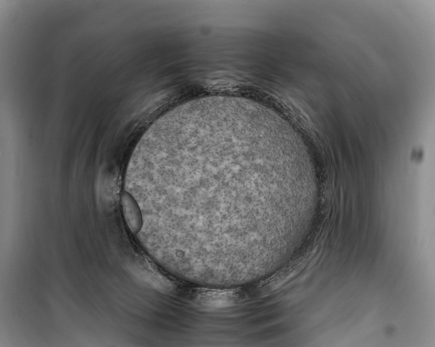 X0000099230081200805151639