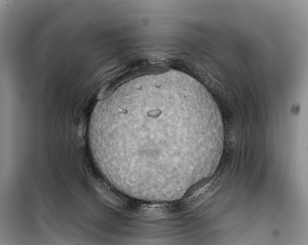 X0000099230082200805151639