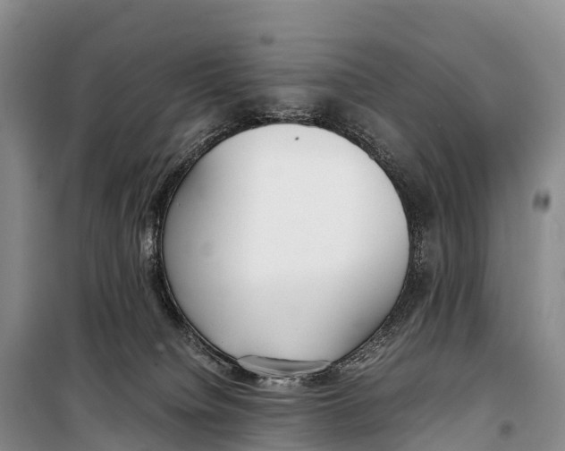 X0000099230084200805151639