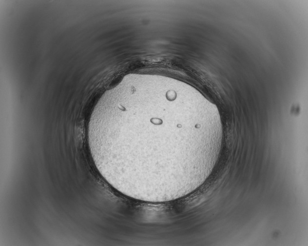 X0000099230085200805151639