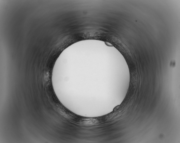 X0000099230087200805151639