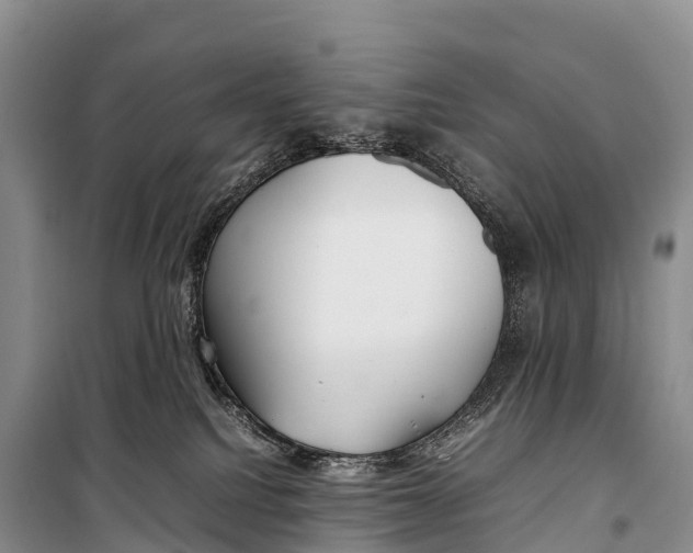 X0000099230088200805151639