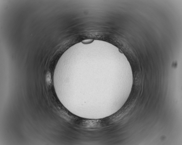 X0000099230089200805151639