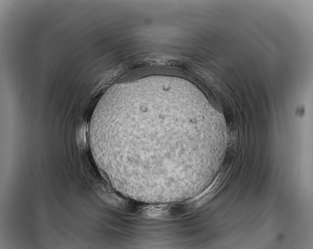 X0000099230094200805151639