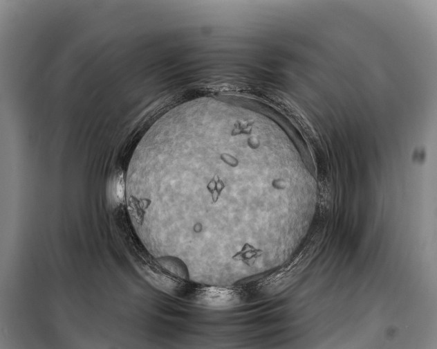 X0000099230095200805151639