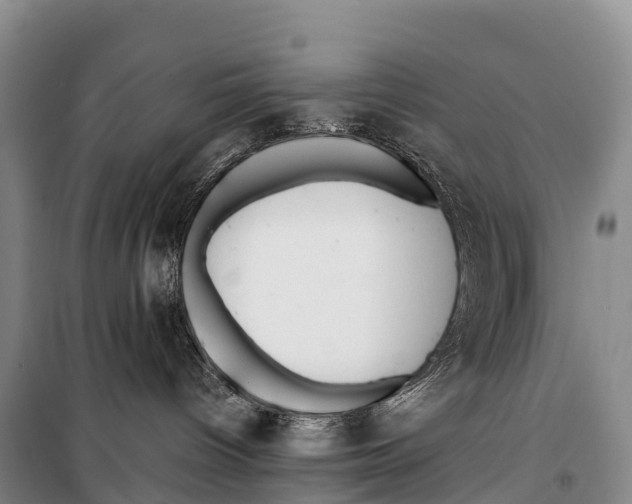 X0000099230096200805151639