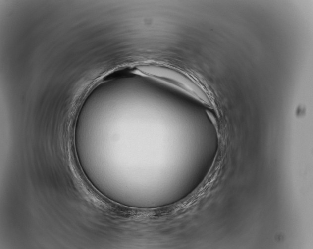 X0000099230097200805151639