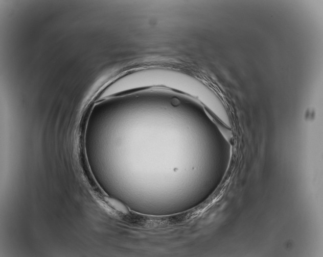 X0000099230101200805151639