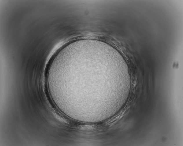 X0000099230102200805151639