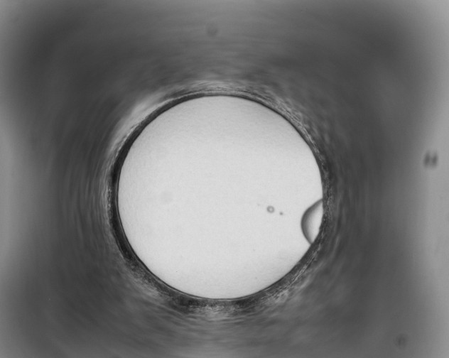 X0000099230103200805151639