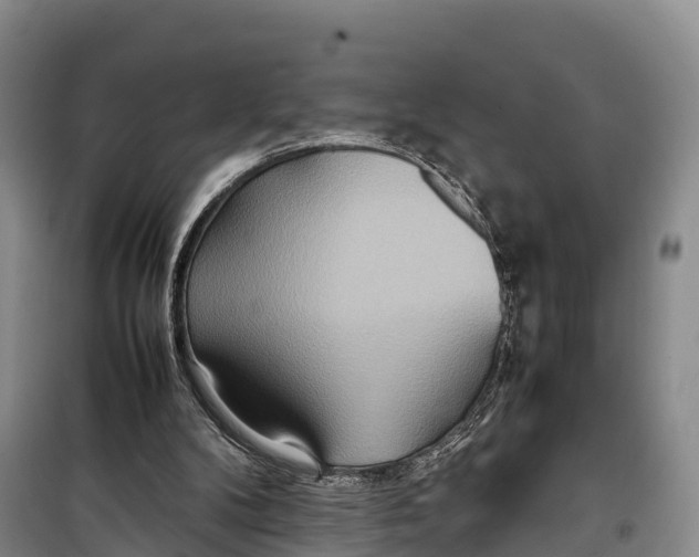 X0000099230104200805151639