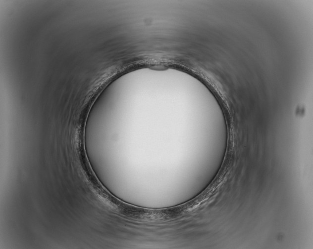 X0000099230105200805151639