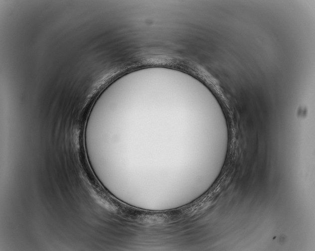 X0000099230106200805151638