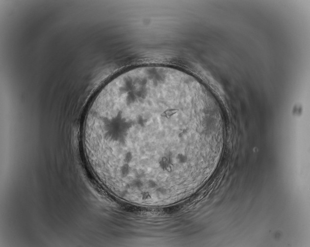 X0000099230107200805151638