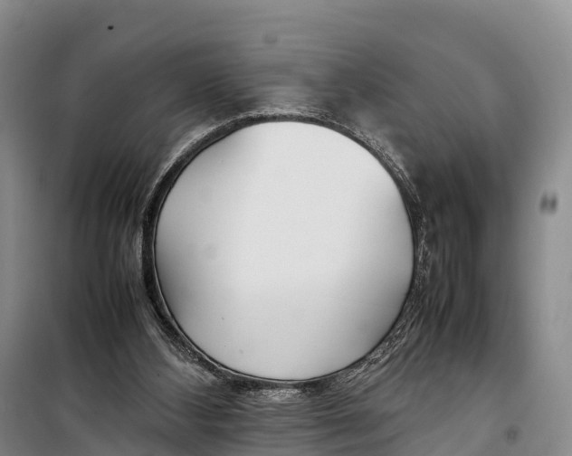 X0000099230108200805151638