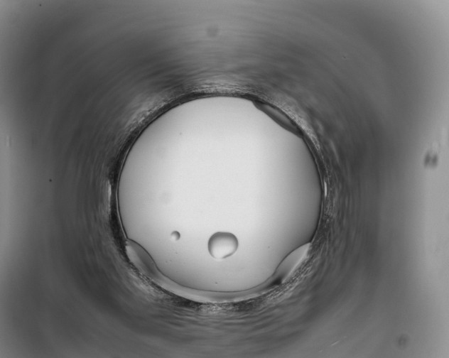 X0000099230109200805151638