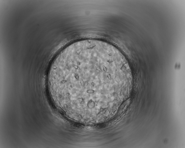 X0000099230111200805151638