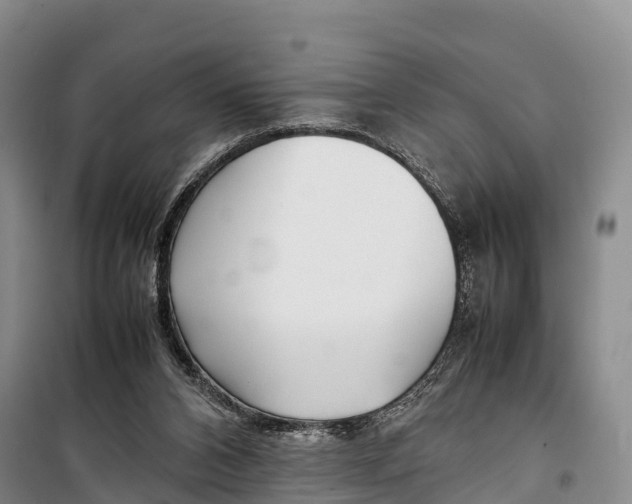 X0000099230112200805151638