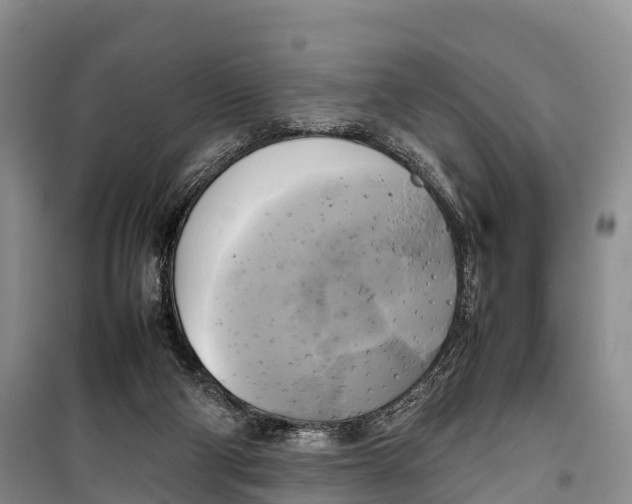 X0000099230114200805151638