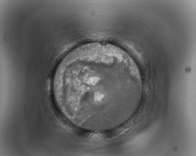 X0000099230115200805151638