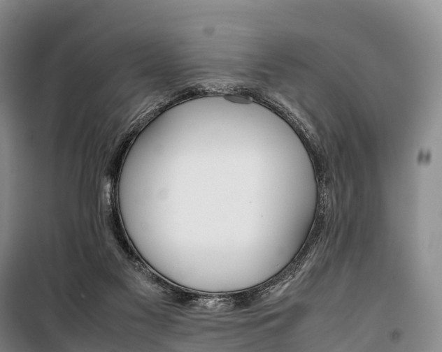 X0000099230117200805151638