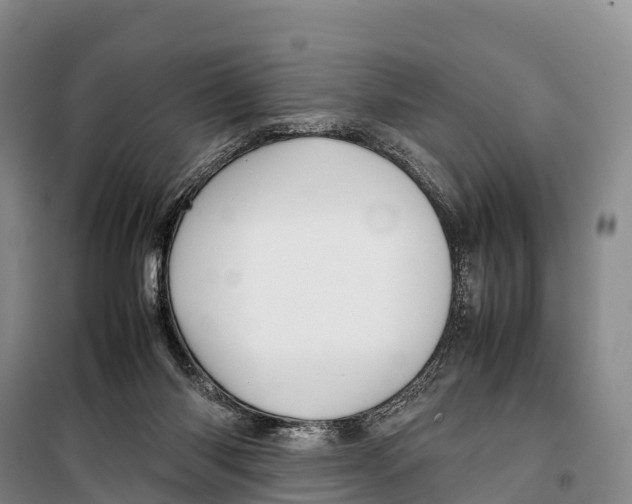 X0000099230118200805151638