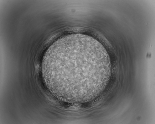 X0000099230119200805151638