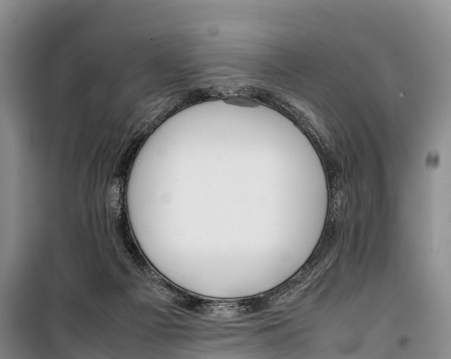 X0000099230121200805151638