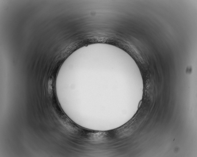 X0000099230122200805151638