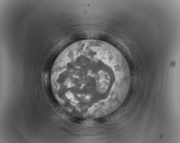 X0000099230123200805151638