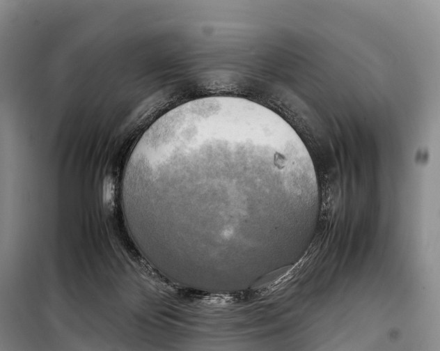 X0000099230124200805151638