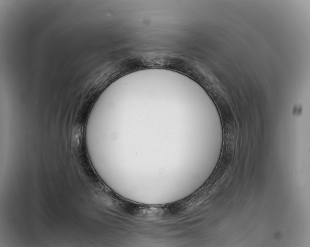 X0000099230125200805151638