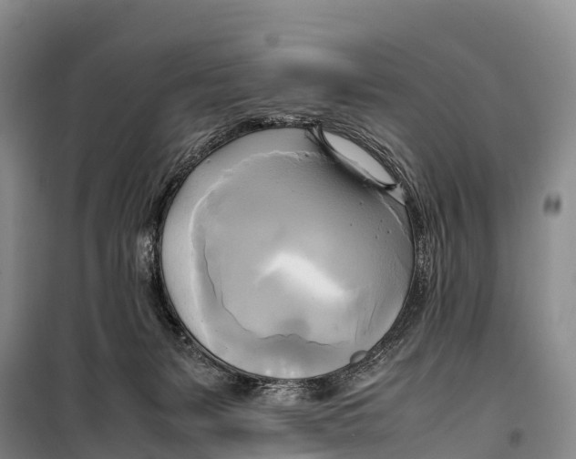 X0000099230127200805151638