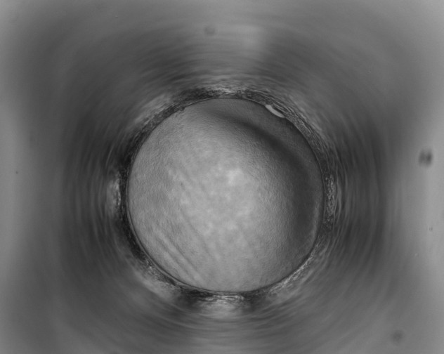 X0000099230128200805151638