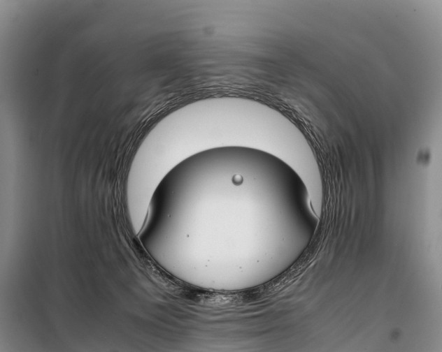 X0000099230129200805151638