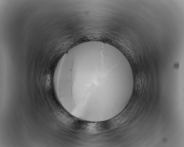 X0000099230130200805151638