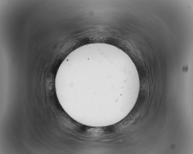 X0000099230133200805151638