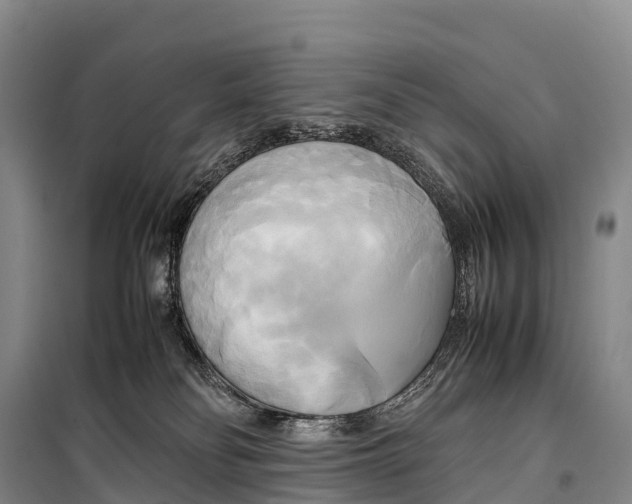 X0000099230134200805151638