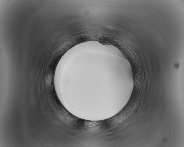 X0000099230139200805151638