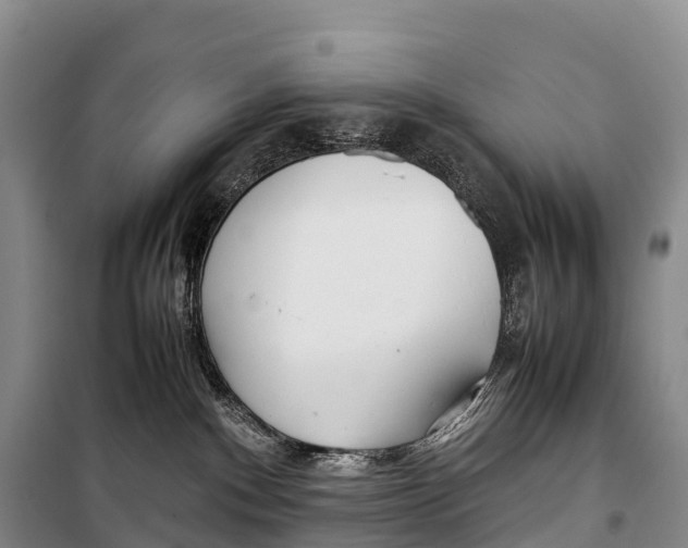 X0000099230140200805151638