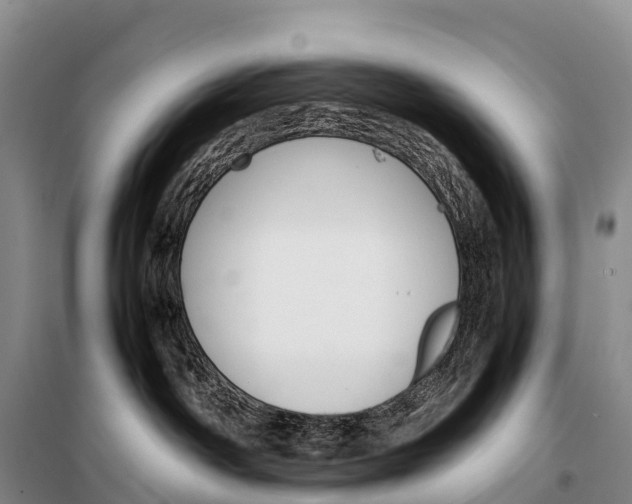 X0000099230142200805151638