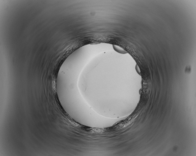 X0000099230143200805151638