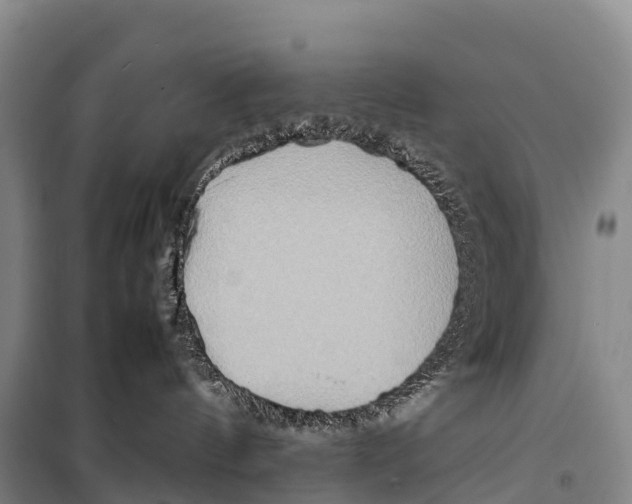 X0000099230144200805151638