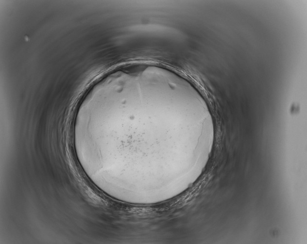 X0000099230145200805151637