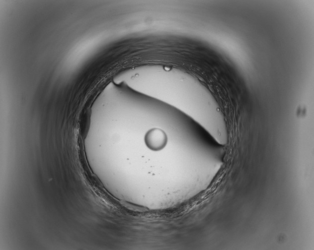 X0000099230146200805151637