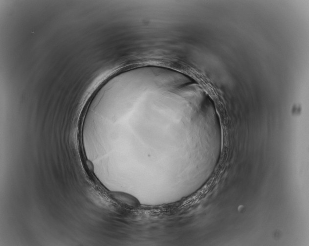 X0000099230147200805151637