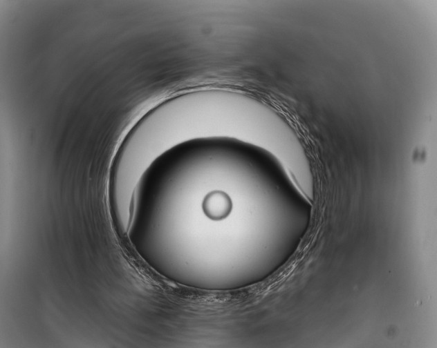 X0000099230148200805151637