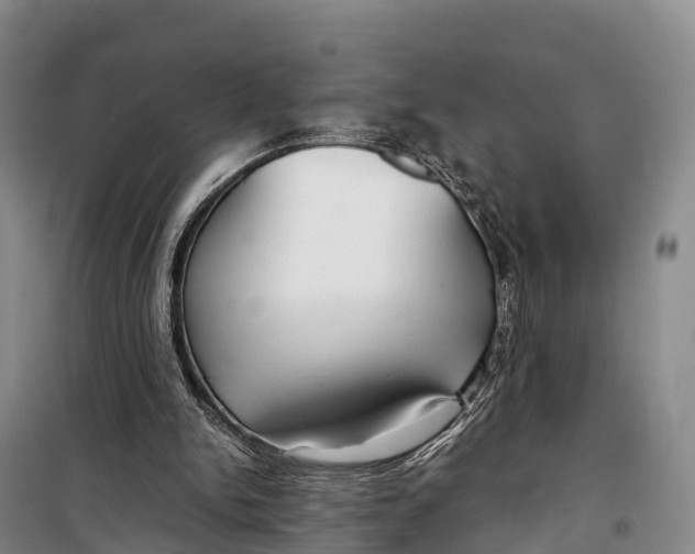 X0000099230150200805151637