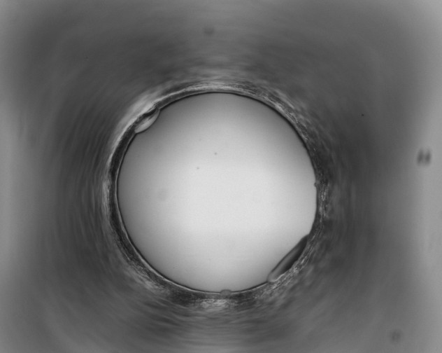 X0000099230152200805151637