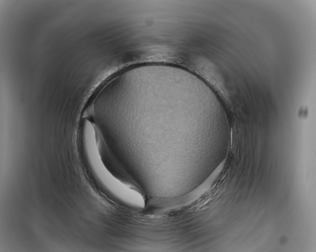 X0000099230156200805151637